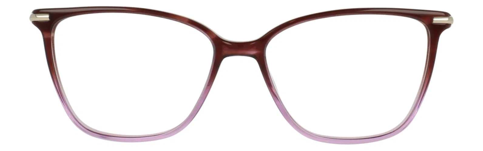 Vera Bradley VBPAMLICO Eyeglasses - view 4